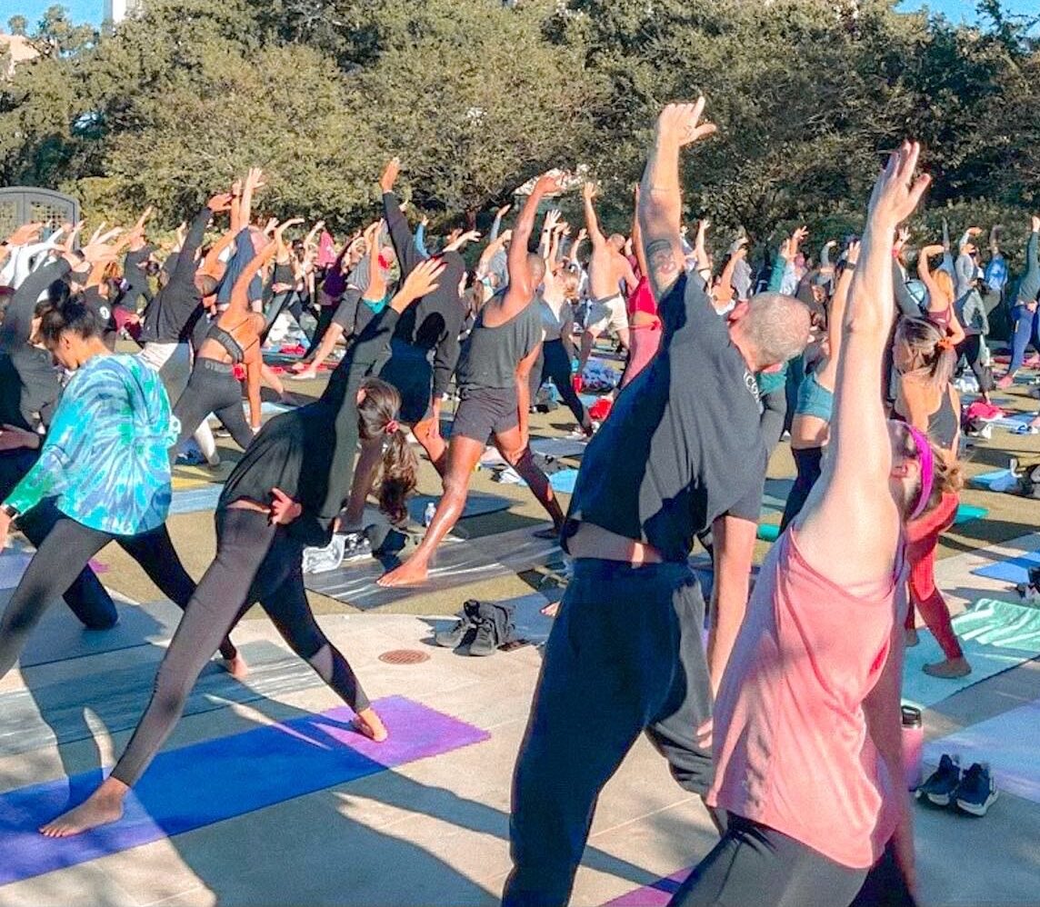 After one year anniversary, Black Swan Yoga keeps building community  through yoga